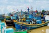 Shortcomings in IUU fishing combat must be fixed comprehensively