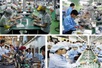Viet Nam targets to develop 1,000 pioneering enterprises during 2026–2030