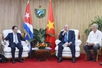 Viet Nam, Cuba push for stronger ties in new development period
