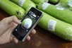 National traceability system launched to boost transparency of Vietnamese farm produce