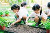 Gov’t adopts action program on environmental protection, climate resilience