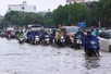 Flooding damages more than 10,000 ha of crops in northern, central localities