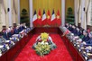 越南国家主席梁强与法国总统举行会谈