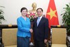 政府副总理兼外交部长裴青山会见柬埔寨驻越大使