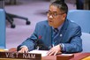 越南呼吁停止暴力冲突 ，维护航海安全， 落实中东问题的“两国方案”