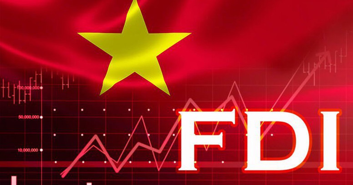 Sector Developer Gov’t issues action plan to develop FDI sector