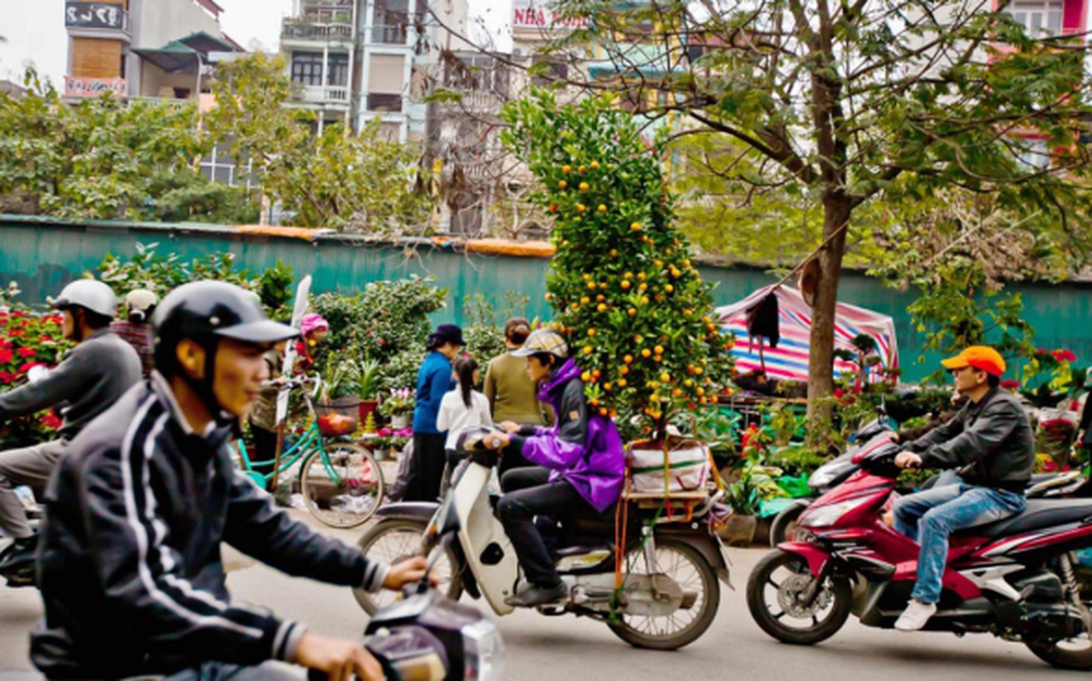 越南政府、政府总理的指导工作亮点（1月29至2月3日）
