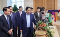 Kiên định xây dựng nông nghiệp sinh thái, nông thôn hiện đại, nông dân văn minh