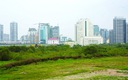 Đất dự án không sử dụng hết có bị thu hồi?