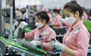 Chi nhánh có cần Giấy chứng nhận đăng ký đầu tư?