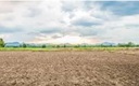 Nhận chuyển nhượng đất để thực hiện dự án có phải làm thủ tục thuê đất?