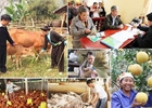 Tạo thuận lợi trong thực hiện, thụ hưởng chính sách dân tộc