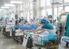 ‘Liều thuốc’ quý cho ngành y