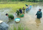 Thủ tướng yêu cầu phải thần tốc hơn nữa, huy động tối đa lực lượng khắc phục nhanh nhất hậu quả bão, mưa lũ