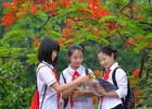Thủ tướng chỉ đạo 3 vấn đề nóng trong giáo dục