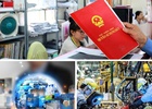 Chỉ đạo, điều hành của Chính phủ, Thủ tướng Chính phủ nổi bật tuần từ 12-18/7/2025