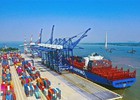 Chấp thuận chủ trương đầu tư xây dựng 04 bến cảng container mới tại Hải Phòng