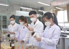 Đề xuất quy định về nhóm nghiên cứu tiềm năng, nhóm nghiên cứu mạnh trong cơ sở giáo dục đại học
