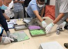 Kiểm soát các hoạt động hợp pháp liên quan đến ma túy