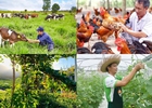 Chính sách mới có hiệu lực từ tháng 8/2026
