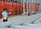 Đề xuất mới về thủ tục hải quan đối với hoạt động xuất, nhập khẩu xăng dầu