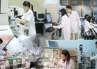 Chỉ đạo, điều hành của Chính phủ, Thủ tướng Chính phủ nổi bật tuần 8-14/8/2026
