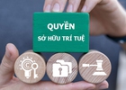 Tăng cường chế tài xử lý các hành vi xâm phạm quyền, vi phạm pháp luật về sở hữu trí tuệ