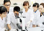 Đề xuất chính sách hỗ trợ học sinh, sinh viên, giảng viên đi học tập, nghiên cứu ở nước ngoài
