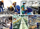 Triển khai thực hiện Kết luận số 62-KL/TW về nâng cao năng suất lao động quốc gia gắn với phát triển thị trường lao động