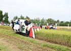 Đề xuất mới về nội dung chi, mức chi hoạt động khuyến nông