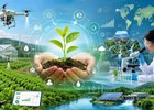 Tiêu chí phân loại, điều kiện thành lập, giải thể đơn vị sự nghiệp công lập lĩnh vực nông nghiệp và môi trường