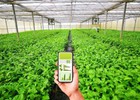 Dự kiến cơ chế sử dụng ngân sách nhà nước hỗ trợ hợp tác xã, liên hiệp hợp tác xã