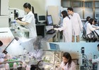 11 nhóm vị trí công tác lĩnh vực khoa học, công nghệ tại chính quyền địa phương phải định kỳ chuyển đổi