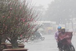 Khẩn trương ứng phó với dông lốc, mưa dịp Tết Nguyên đán 2022
