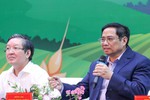 Nông nghiệp, nông dân, nông thôn có vị trí, vai trò chiến lược đặc biệt quan trọng