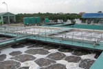 Nỗ lực thực hiện Cam kết giảm phát thải khí methal toàn cầu