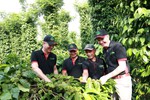 Vai trò của các doanh nghiệp trong tăng trưởng xanh