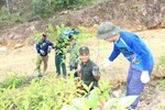 Đà Nẵng đã trồng hơn 1 triệu cây xanh