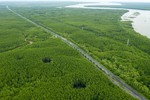 Thêm chính sách để 'rộng đường' cho 'xanh hóa' công trình, giao thông