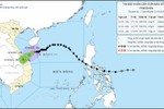 Thủ tướng chỉ đạo tập trung phòng, tránh, ứng phó mưa lũ, ngập lụt tại khu vực Trung Trung Bộ