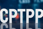 Sức hút CPTPP trước 'làn sóng' gia nhập