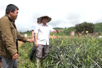 Kon Tum: Tín dụng chính sách của Chính phủ là điểm tựa giảm nghèo trên vùng cao Tu Mơ Rông