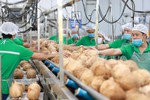 Hợp lực xây dựng chuỗi giá trị nông nghiệp tuần hoàn
