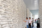 Xuất cấp hơn 668 tấn gạo dự trữ quốc gia hỗ trợ 3 địa phương