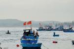 Quảng Ngãi tiếp tục nỗ lực chống khai thác IUU