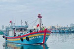 Đà Nẵng siết chặt quản lý 147 tàu cá chưa đủ điều kiện hoạt động