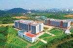 Nghị định 201/2025/NĐ-CP: Tăng quyền tự chủ cho đại học quốc gia