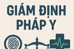 Siết chặt quản lý đối tượng chữa bệnh tâm thần và bảo đảm giám định khách quan, minh bạch