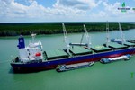 PVCFC mở rộng thị trường nhờ đẳng cấp Level One