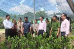 Ngân hàng CSXH Cần Thơ-Nhịp cầu an sinh giữa lòng đô thị miền Tây